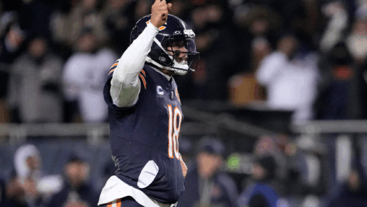Chicago Bears eliminan a Packers y avanzan a la ronda divisional