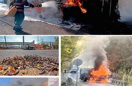 Autoridades asestan golpe al CJNG con detenciones y decomisos millonarios