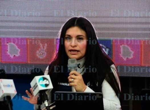 No hay reforma electoral formal en Congreso, confirma diputada