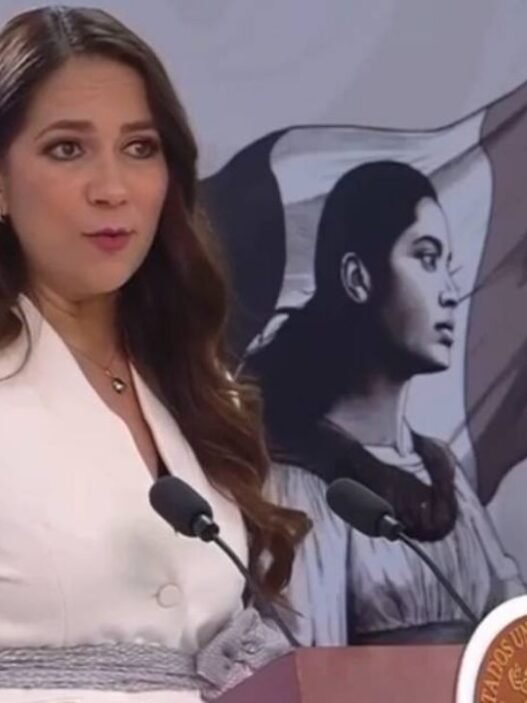Libia Dennise reconoce baja de homicidios por apoyo federal en Guanajuato