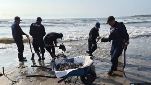 Refuerzan limpieza y control de hidrocarburo en playas de Tamaulipas
