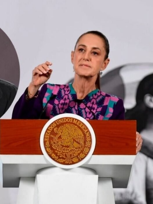 Sheinbaum: FGR definirá rol de Gertz Manero en caso "El Jando"