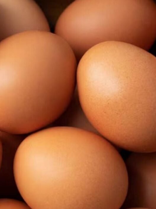 Sobreoferta de huevo en México provoca crisis entre productores