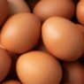Sobreoferta de huevo en México provoca crisis entre productores