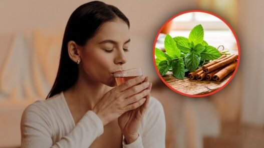 Té de hierbabuena con canela: beneficios, usos y precauciones