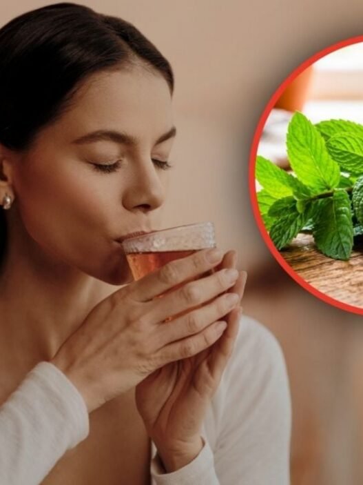 Té de hierbabuena con canela: beneficios, usos y precauciones