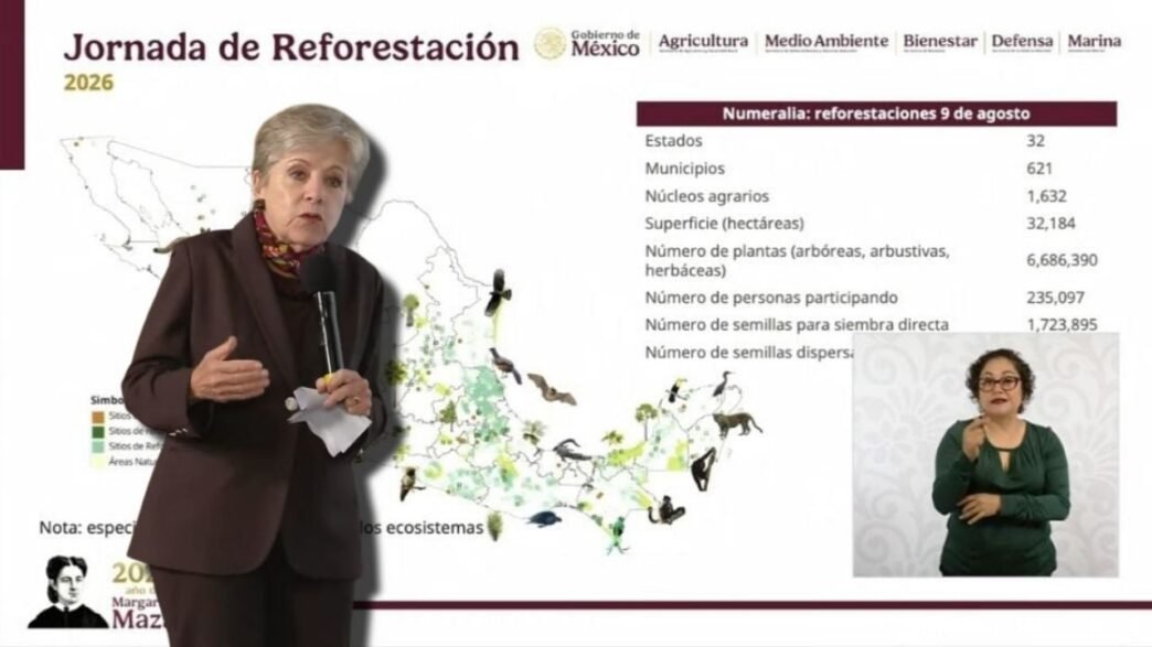 México inicia Jornada Nacional de Reforestación: meta 2030