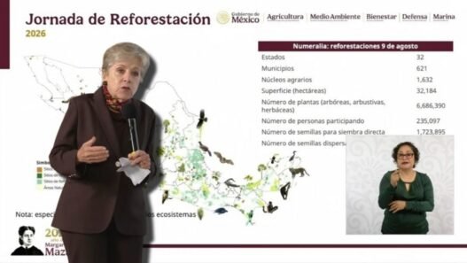 México inicia Jornada Nacional de Reforestación: meta 2030