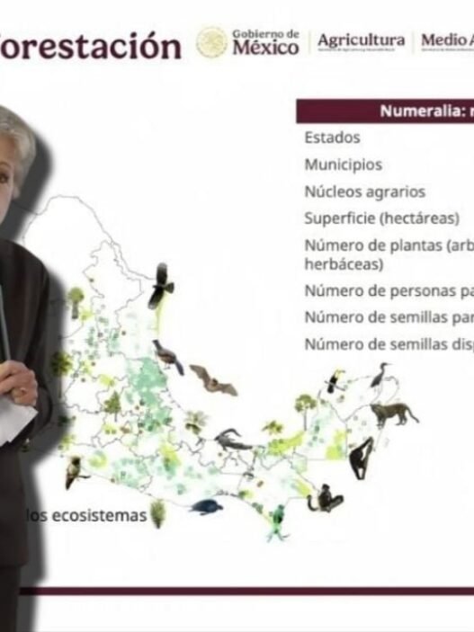 México inicia Jornada Nacional de Reforestación: meta 2030