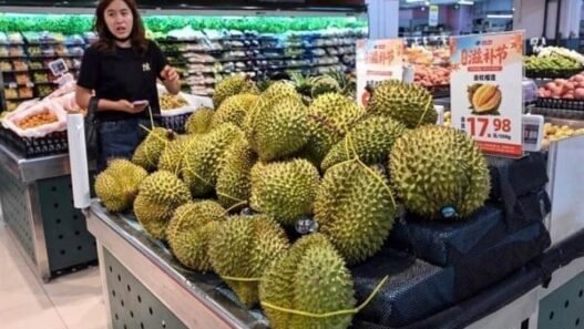 Precios mundiales de alimentos alcanzan máximo desde 2022: FAO