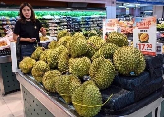 Precios mundiales de alimentos alcanzan máximo desde 2022: FAO
